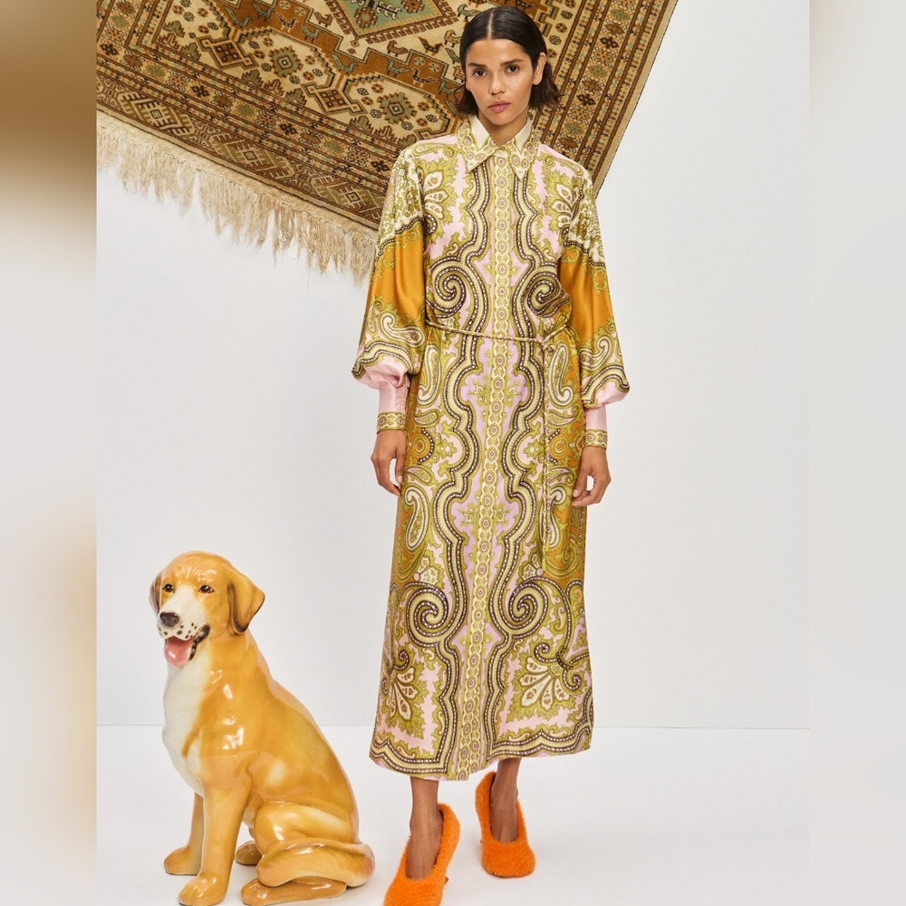 Alemais Clemenza Silk Shirtdress - Mult - Picture 4 of 16